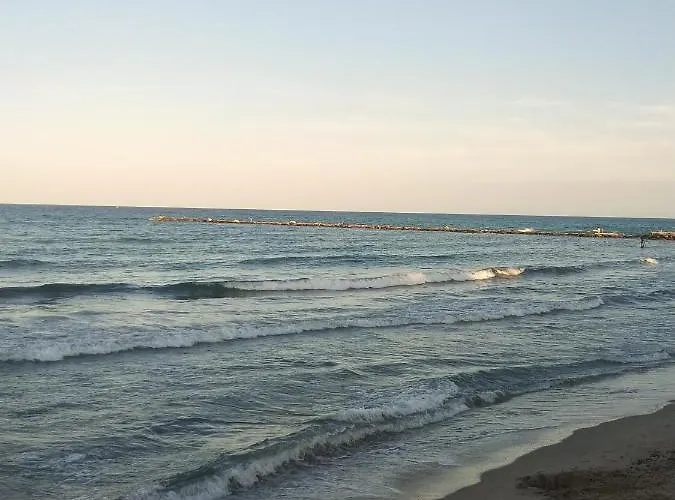 Delmar