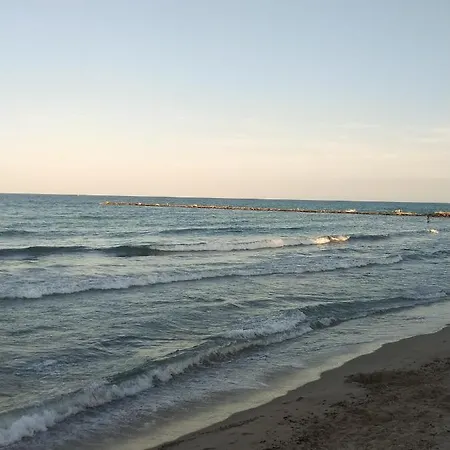Delmar
